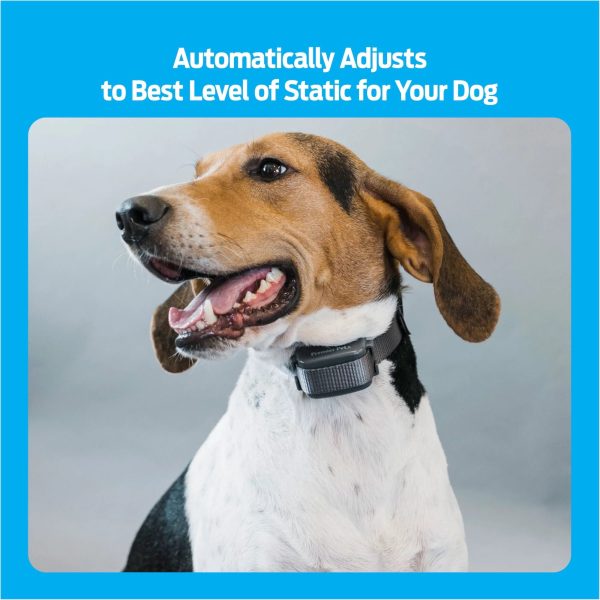 Premier Pet Bark Collar: Discourages Barking for All Size Dogs - Image 4