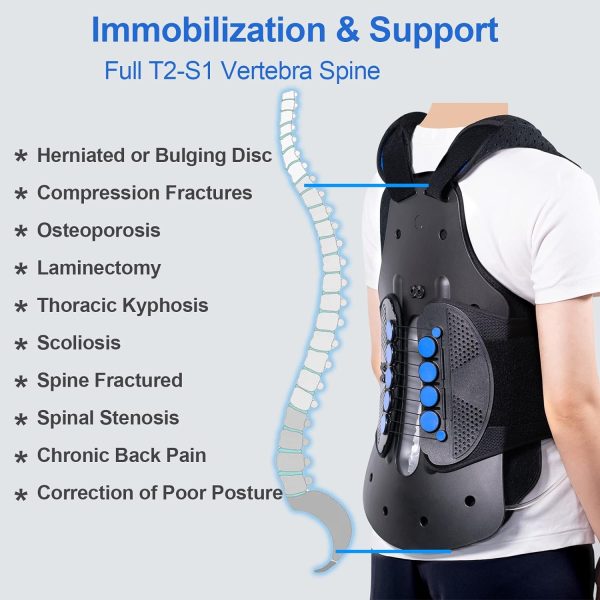 Medical Full Back Brace - Fit Men & Women (Medium) - Image 3