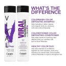 Viral Purple Colorwash with Bondfix Bond Rebuilder