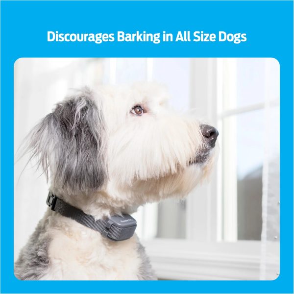Premier Pet Bark Collar: Discourages Barking for All Size Dogs - Image 2