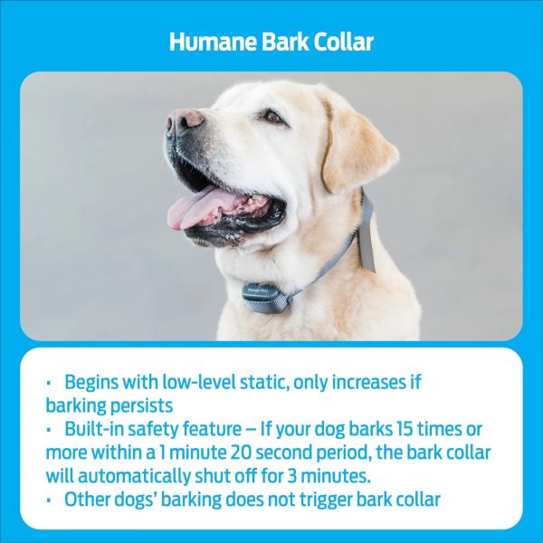 Premier Pet Bark Collar: Discourages Barking for All Size Dogs - Image 7