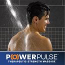 Waterpik 6-Mode Powerpulse Massage Hand Held Shower Head