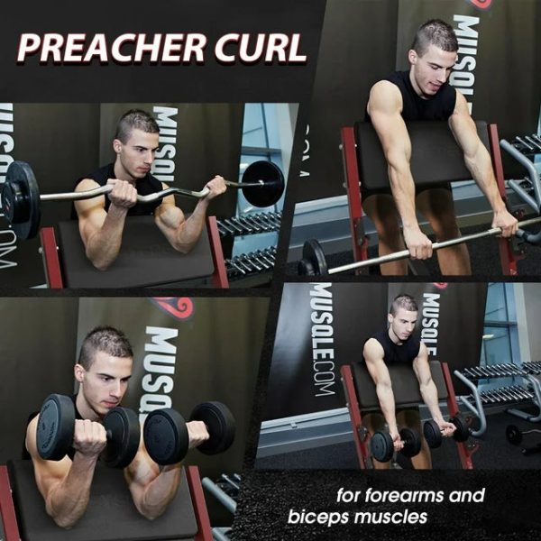Syedee Preacher Curl Bench, Red - Image 3