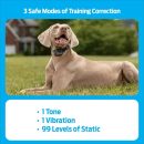 Premier Pet 600 Yard Remote Trainer