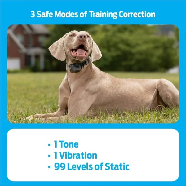 Premier Pet 600 Yard Remote Trainer - Image 3